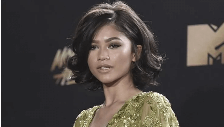 Zendaya Dune Character, Pay, Dress, And Much More