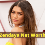 Zendaya Net Worth [year], Earnings, Salary, And Income