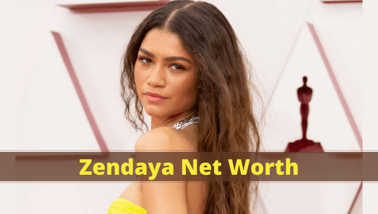 Zendaya Net Worth
