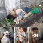 A street boy adopts a homeless dog and they snuggle together..D