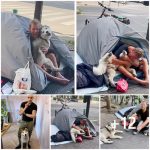 Dog Forms The Sweetest Friendship With Man Experiencing Homelessness