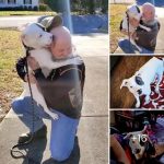 Shelter Dog Meets Her New Dad For The First Time And Can’t Stop Hugging Him